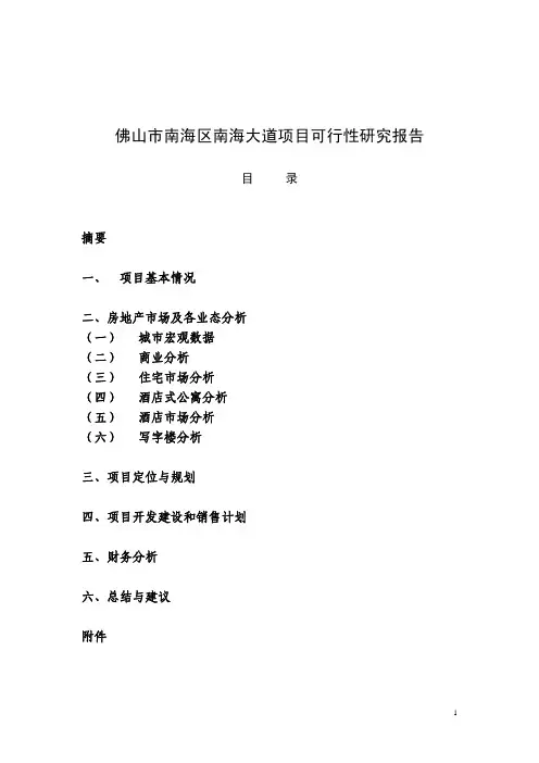 佛山市南海区南海大道项目研究报告
