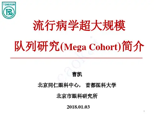 超大规模队列简介
