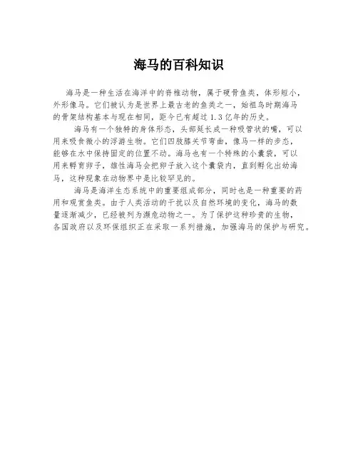 海马的百科知识