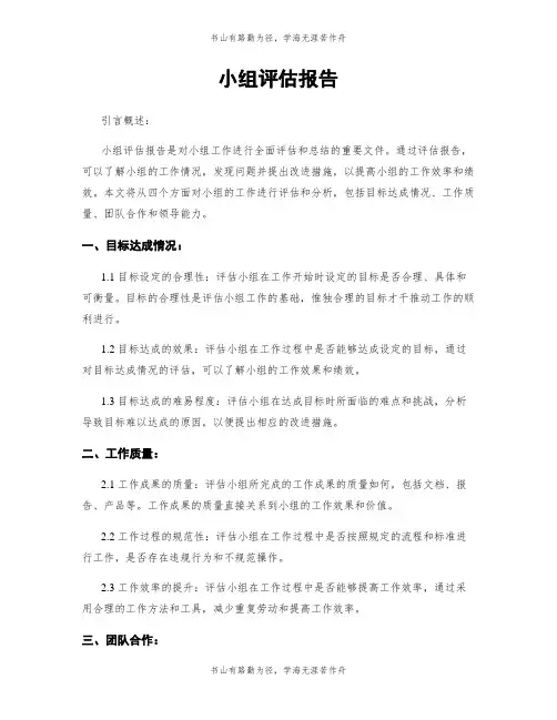 小组评估报告