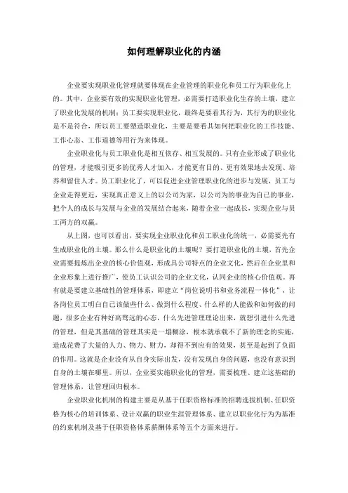 如何理解职业化的内涵