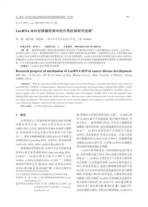 LncRNA H19在肿瘤发病中的作用机制研究进展