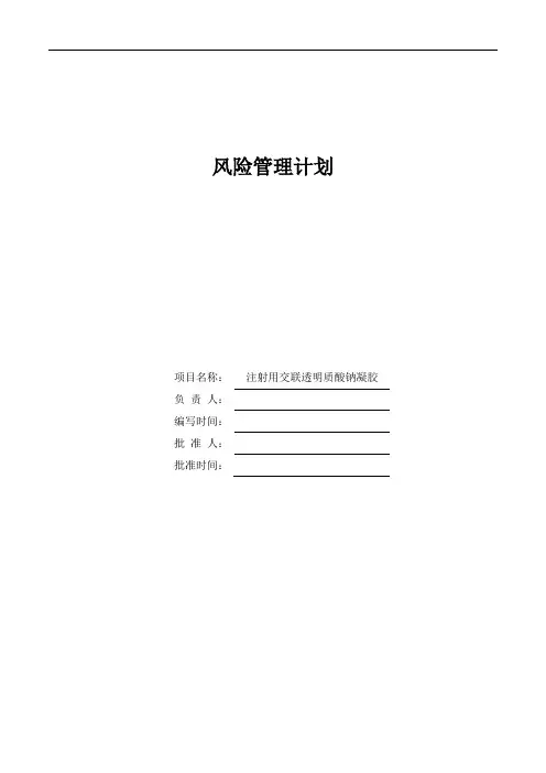 注射用交联透明质酸钠凝胶项目风险管理计划