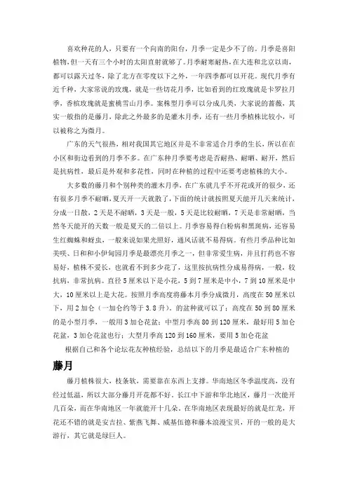 适合广东种植的月季