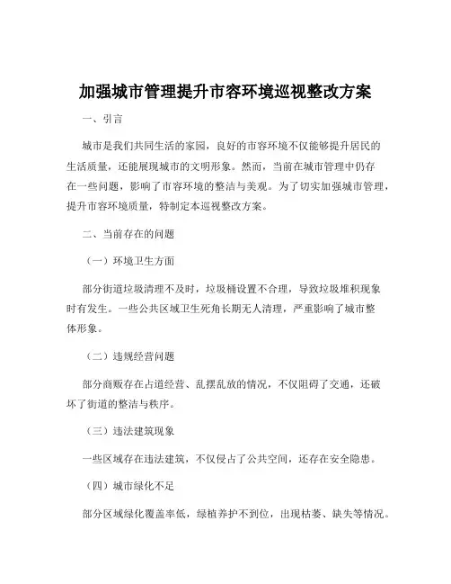 加强城市管理提升市容环境巡视整改方案