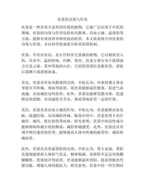 伏姜的功效与作用