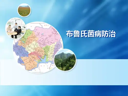布鲁氏菌病 PPT课件