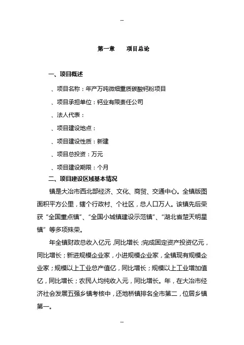 重质碳酸钙项目可行性研究报告