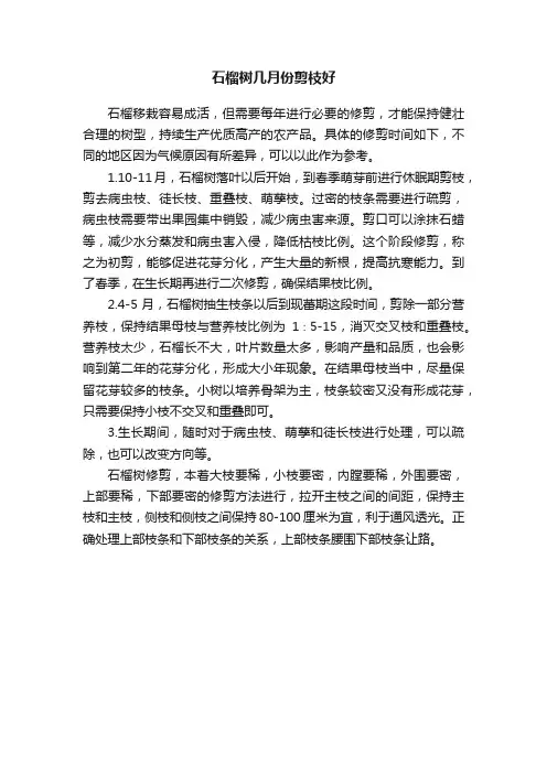 石榴树几月份剪枝好
