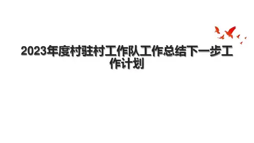 2023年度村驻村工作队工作总结下一步工作计划