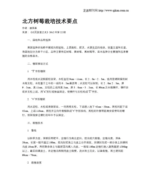 北方树莓栽培技术要点