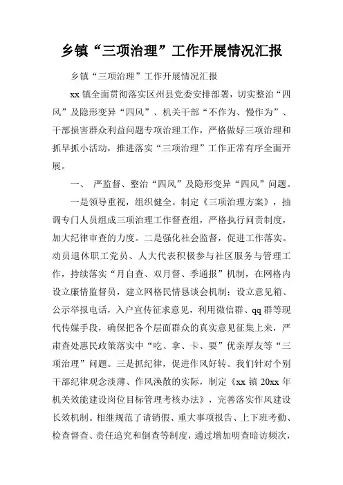 乡镇“三项治理”工作开展情况汇报
