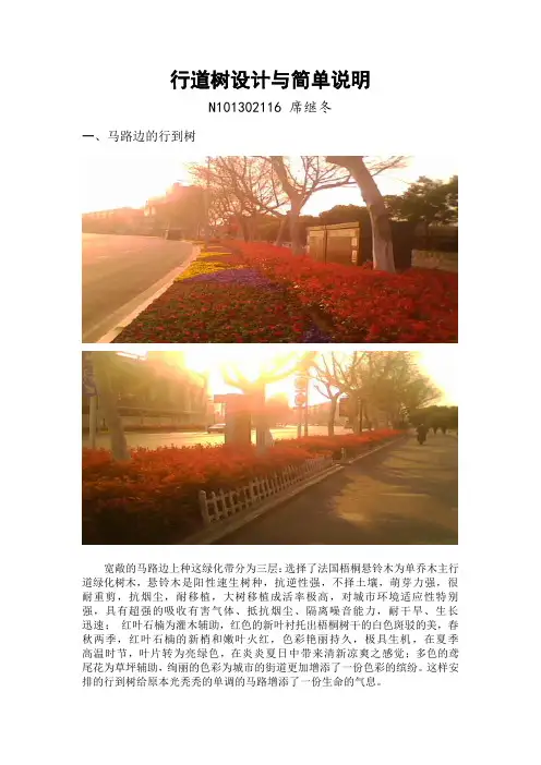 行道树的设计说明与应用