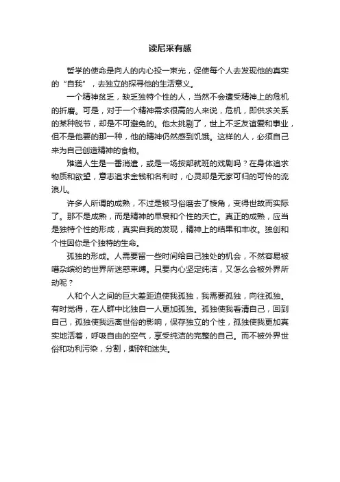 读尼采有感