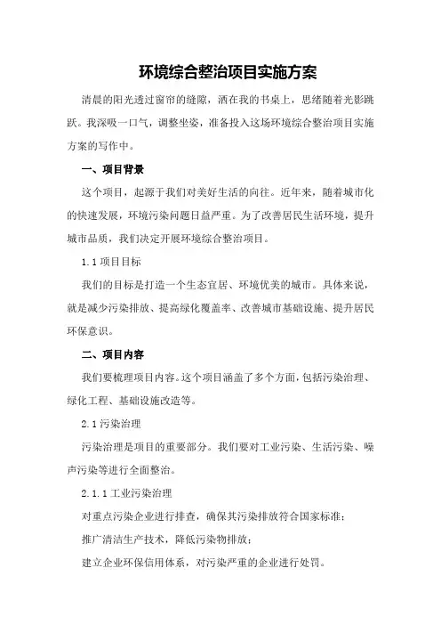 环境综合整治项目实施方案