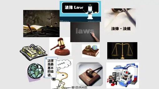 法律权利与义务PPT课件