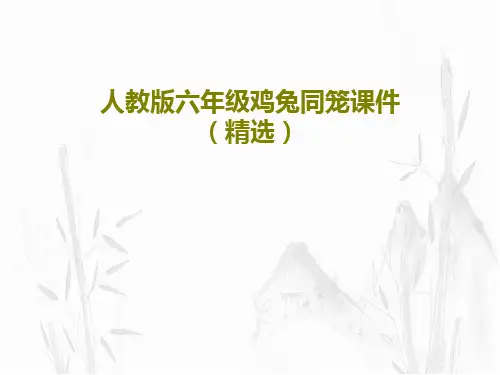 人教版六年级鸡兔同笼课件(精选)共16页PPT