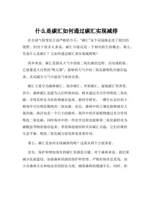什么是碳汇如何通过碳汇实现减排