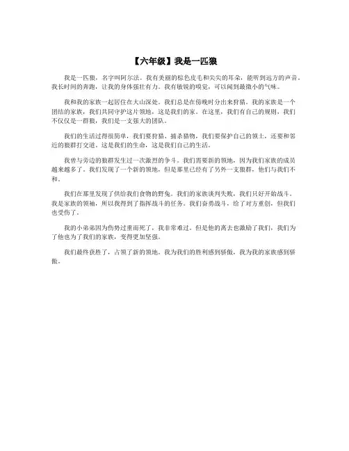 【六年级】我是一匹狼