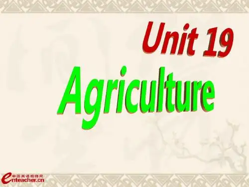 高一英语Unit 19 reading课件