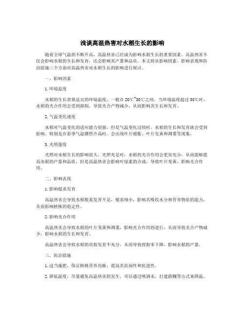 浅谈高温热害对水稻生长的影响