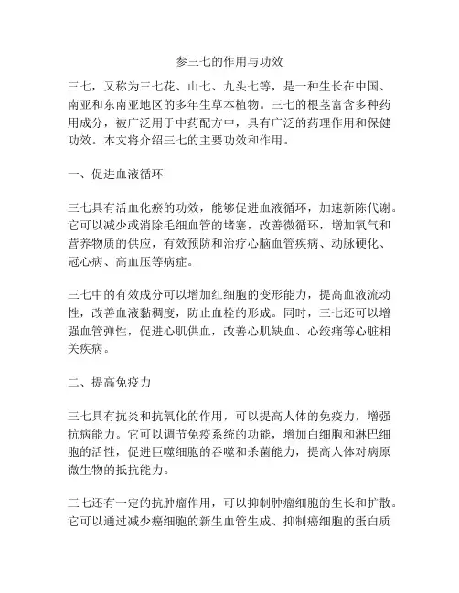 参三七的作用与功效