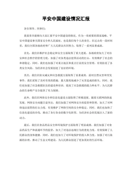平安中国建设情况汇报