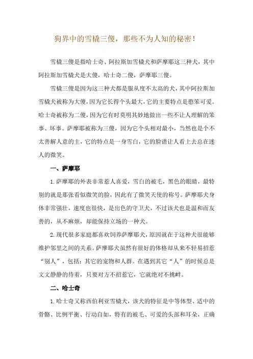 狗界中的雪橇三傻,那些不为人知的秘密!