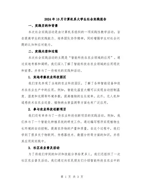 2024年10月计算机系大学生社会实践报告