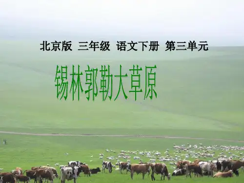 北京版语文三年级下册《锡林郭勒大草原》PPT课件