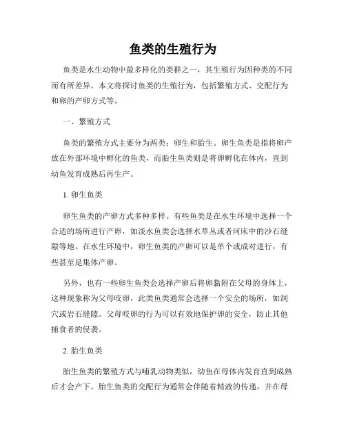 鱼类的生殖行为