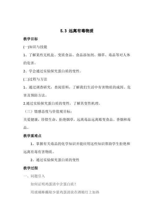 鲁教五四制版化学九年级全一册远离有毒物质 教案