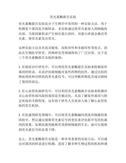 荧光素酶报告实验