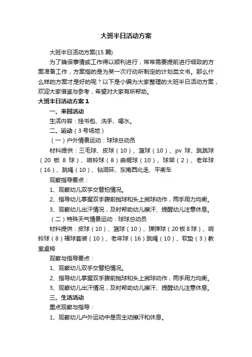 大班半日活动方案（15篇）