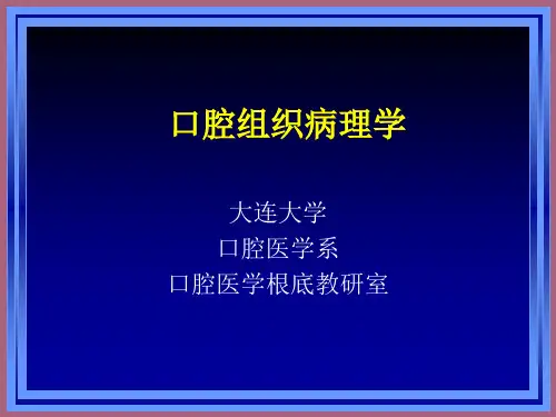 颌面部发育 ppt课件