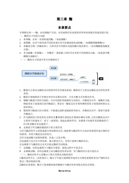 生化第三章酶