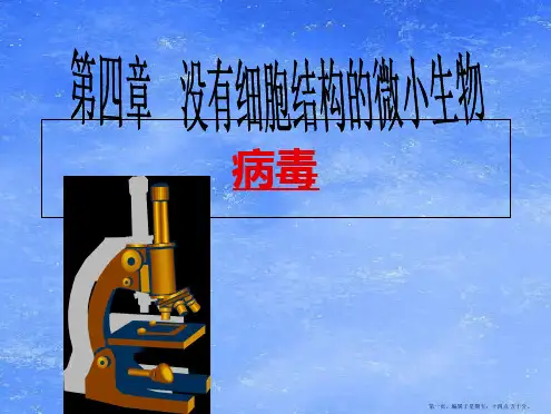 七年级生物上册-第四章病毒课件-人教新课标版2