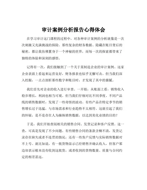 审计案例分析报告心得体会