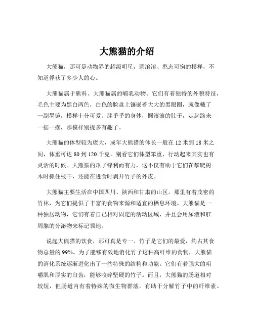 大熊猫的介绍