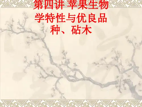 [课件]第四讲 苹果生物学特性与优良品种、砧木PPT