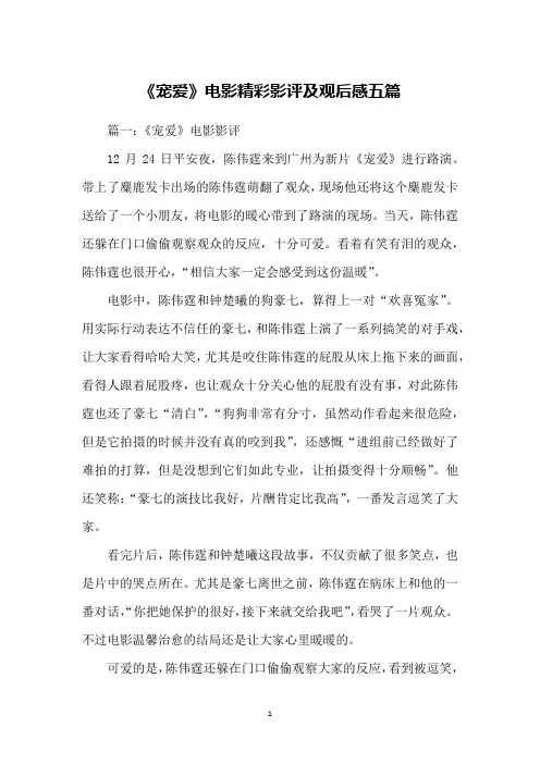 《宠爱》电影精彩影评及观后感五篇