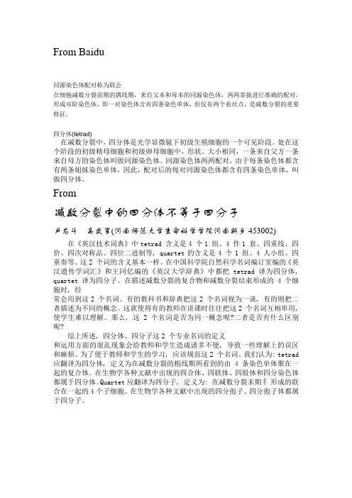 四分体(及分析),四分子的相关概念