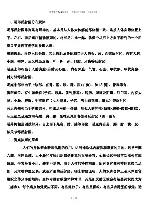足底反射区图