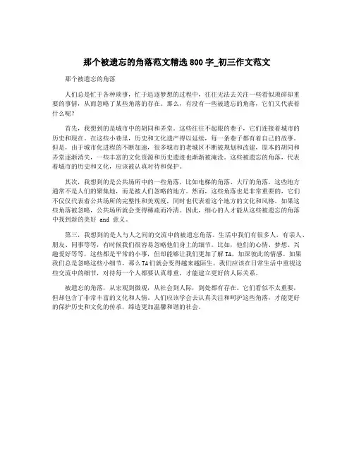 那个被遗忘的角落范文精选800字_初三作文范文