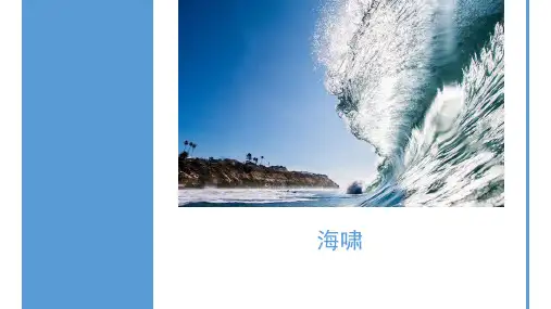 高中地理课件-海啸