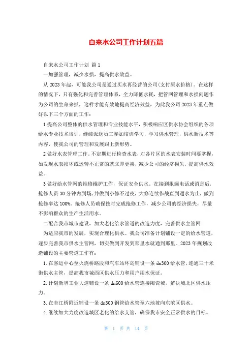 自来水公司工作计划五篇