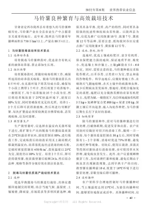 马铃薯良种繁育与高效栽培技术