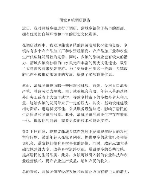 蒲城乡镇调研报告