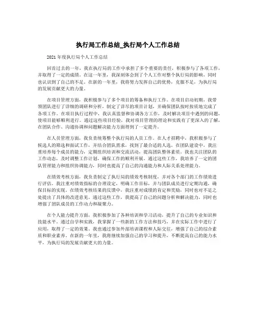 执行局工作总结_执行局个人工作总结
