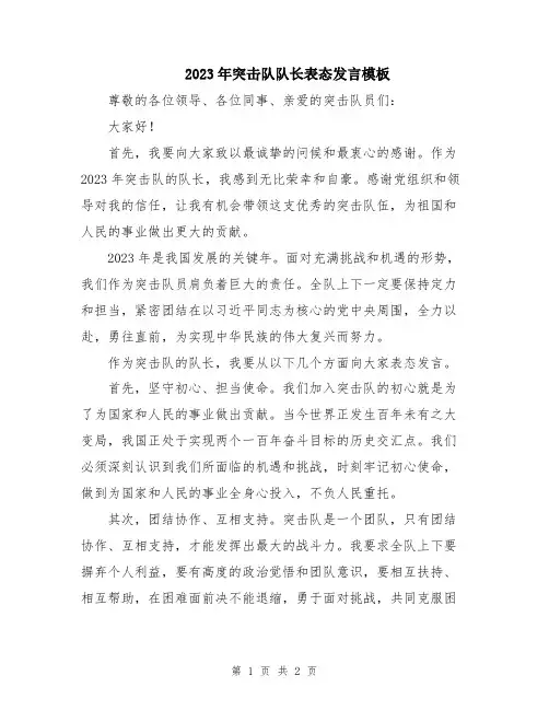 2023年突击队队长表态发言模板